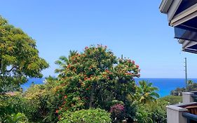 A Little Aloha